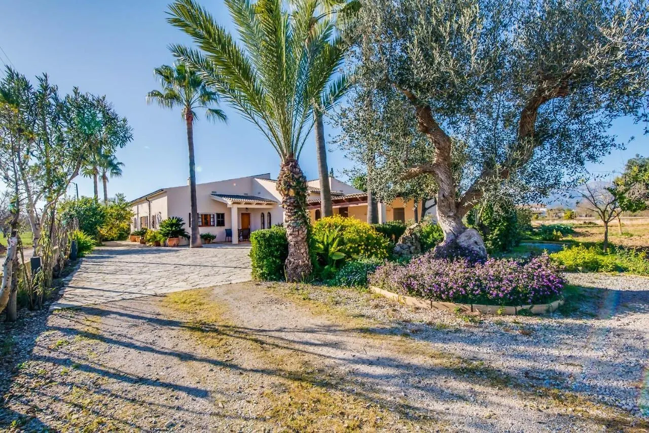 Ideal Property Mallorca - Es Pascolet Guest House Inca  Country house